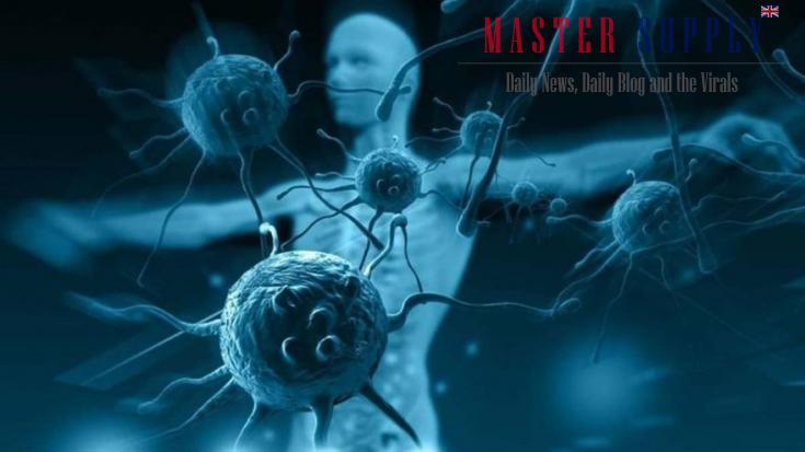 Chapare virus Signs and Symptoms, Chapare mammarenavirus