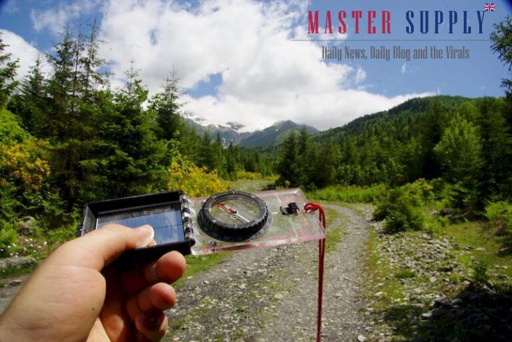 Nature’s Compass for Survival