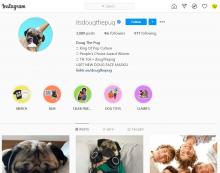 Doug the Pug 4m followers